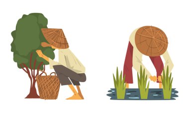 Straw Conical Hat 'teki Asyalı Çiftçi Paddy Field Vector Set üzerinde çalışıyor