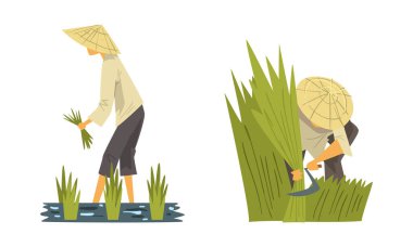 Straw Conical Hat 'teki Asyalı Çiftçi Paddy Field Vector Set üzerinde çalışıyor