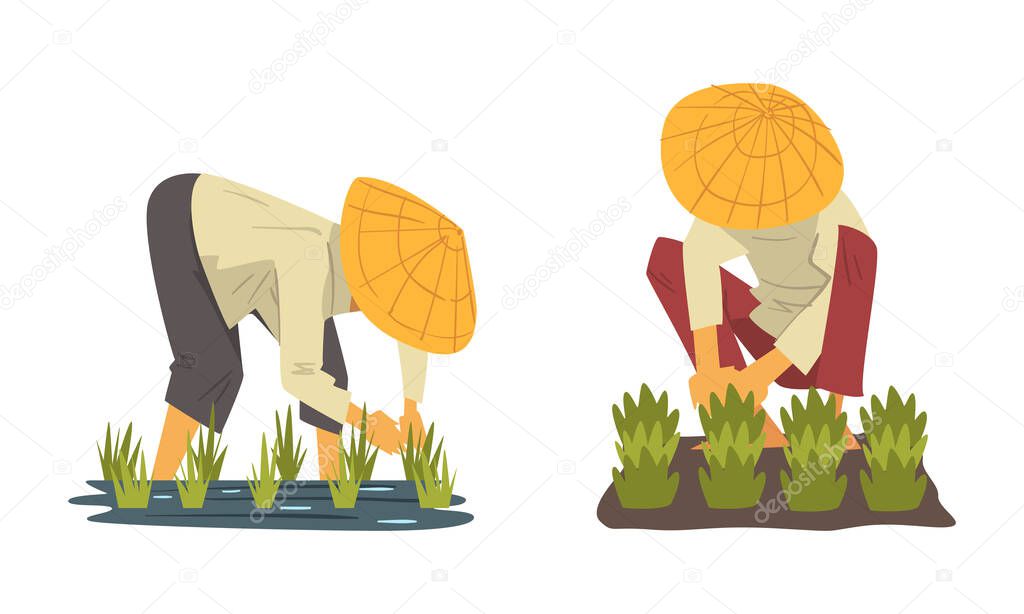 Asian Farmer in Straw Conical Hat Working on Paddy Field Vector Set