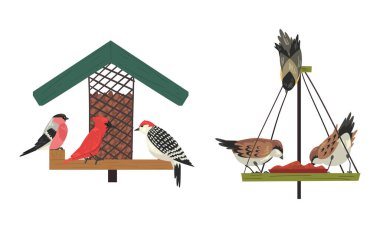 Winter Birds Feeding by Seeds and Grains Poured on Birdfeeder or Bird Table Vector Set clipart