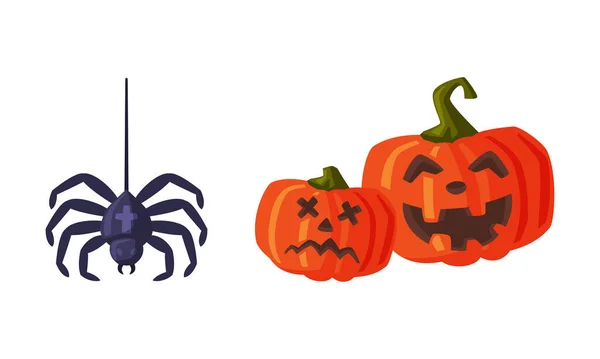 Spider and halloween scary pumpkins. Witchcraft attributes, halloween objects cartoon vector illustration — Stock Vector