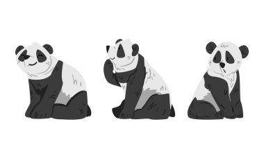 Farklı pozlarda şirin panda. Güzel vahşi hayvan çizgi film vektör çizimi