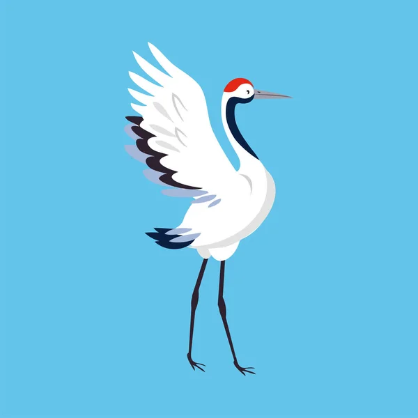 Guindaste Coroado Vermelho como Pássaro de Perna Longa e Pescoço Longo em pé com Asas Espalhadas na Ilustração do Vetor de Fundo Azul — Vetor de Stock