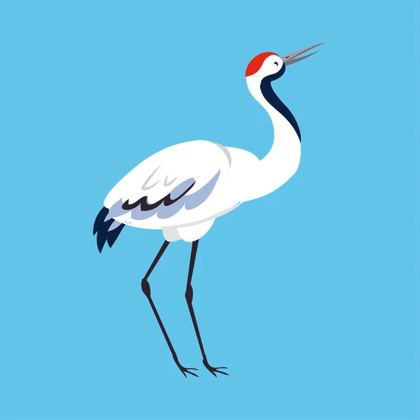Rotgekrönter Kranich als langbeiniger und langhalsiger Vogel, der auf blauem Hintergrund steht — Stockvektor