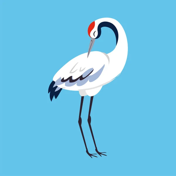 Rotgekrönter Kranich als langbeiniger und langhalsiger Vogel, der auf blauem Hintergrund steht — Stockvektor