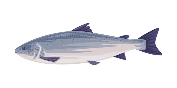 フィンランドのシンボルとしてのサケ魚と属性ベクトルイラスト — ストックベクタ