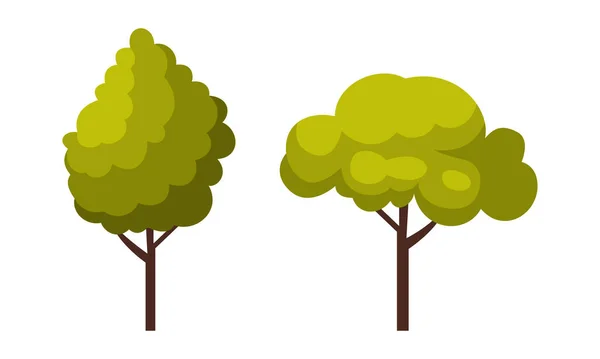 Zielone drzewo z bujną liści jako Park Zone Element Vector Set — Wektor stockowy