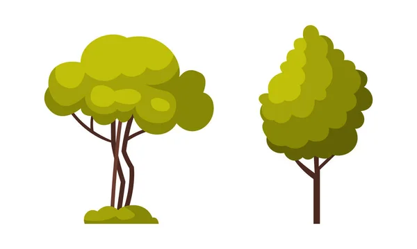 Árbol verde con exuberante follaje como conjunto de vectores de elementos de zona de parque — Vector de stock