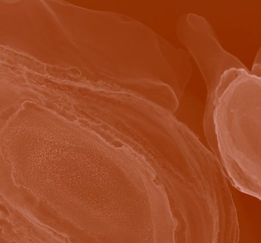 Kakao Modern Sanatı. Soyut Tasarım. Suluboya Baskı. Islak Sanat Yazıcısı. Ochre Alkol Mürekkebi Sanatı. Suluboya deseni. Banner 'a su sıçrat. Soyut Sıçrama. Alkol Mürekkebi Yazdır. Kahverengi