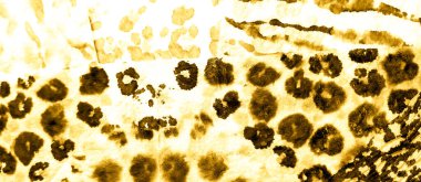 Lüks Soyut Sıçrama. Kirli Sanat Arkaplanı. Islak Sanat Yazıcısı. Banner 'a su sıçrat. Dye Batik 'i bağla. Beyaz suluboya baskı. Altın kravatlı boya yaması. Aquarelle dokusu. Dişlerimi fırçaladım. Altın