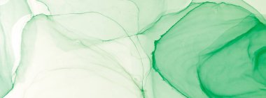 Derin Yeşil Soyut Özgeçmiş. Su taklidi. Suluboya deseni. Islak Sanat Yazıcısı. Çiçek Alkol Mürekkebi Sanatı. Banner 'a su sıçrat. Alkol Mürekkebi Örnekleri. Yeşil suluboya dokusu. Mürekkep Graffiti.