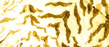 Altın Soyut Sıçrama. Kirli Sanat Arkaplanı. Suluboya Baskı. Dişlerimi fırçaladım. Kravat boyası baskısı. Beyaz Kova dokusu. Lüks kravat boyama yaması. Islak Sanat Yazıcısı. Banner 'a su sıçrat. Lüks.