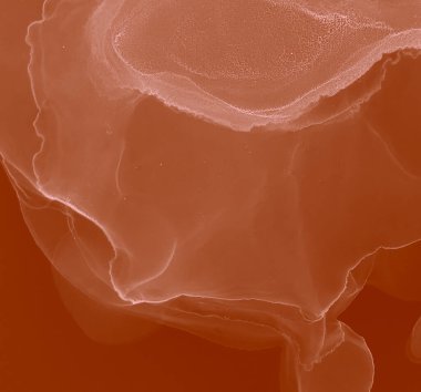 Pembe Modern Sanat. Soyut boyama. Suluboya deseni. Soyut Sıçrama. Alkol Mürekkebi Örnekleri. Ochre Wet Sanat Baskısı. Banner 'a su sıçrat. Suluboya Baskı. Kırmızı Alkol Mürekkebi Yazdır.