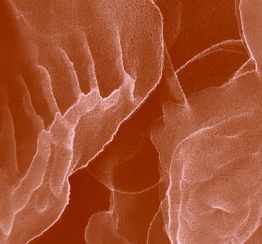 Kakao Soyut Özgeçmişi. Soyut boyama. Suluboya doku. Suluboya deseni. Soyut Sıçrama. Mürekkep Graffiti. Alkol Mürekkebi Sanatı. Ochre Suluboya Yazdırma. Pembe Sanatsal Alkol Mürekkebi.