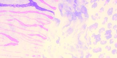 Açık Mor Kirli Sanat Boyama. Kirli Sanat Arkaplanı. Aquarelle dokusu. Asit Sıçrayan Sancak. Boya yamalı kravat. Mor Islak Sanat Yazıcısı. Mavi kravat boyası. Suluboya Baskı. Dişlerimi fırçaladım. Pembe.