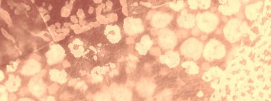 Krem Kirli Sanat Arkaplanı. Kirli Sanat Ressamlığı. Islak Sanat Yazıcısı. Suluboya Baskı. Banner 'a su sıçrat. Kahverengi Kova deseni. Klasik Tie Dye Batik. Dişlerimi fırçaladım. Kravat boyası. Kahverengi