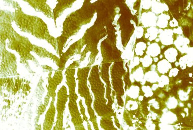 Beyaz Kirli Sanat Ressamlığı. Soyut Desen. Suluboya Baskı. Aquarelle dokusu. Light Tie Dye Batik. Banner 'a su sıçrat. Kravat boyası Grunge. Yeşil Islak Sanat Yazıcısı. Dişlerimi fırçaladım. Beyaz