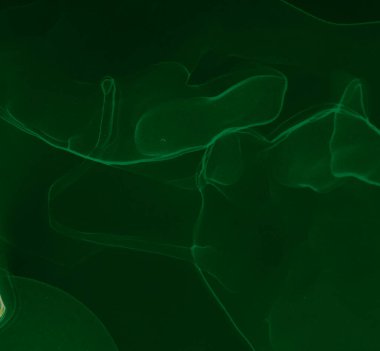 Yeşil Çağdaş Sanat. Su taklidi. Suluboya doku. Mürekkep Graffiti. Alkol Mürekkebi Yazdır. Siyah suluboya baskı. Çiçek Alkol Mürekkebi Sanatı. Islak Sanat Yazıcısı. Soyut Sıçrama.