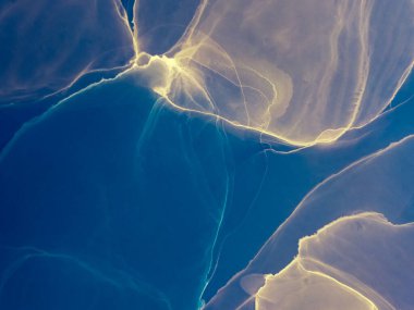 Indigo Soyut Tasarım. Soyut boyama. Suluboya doku. Mürekkep Graffiti. Alkol Mürekkebi Örnekleri. Mavi suluboya baskı. Altın Alkol Mürekkebi Yazdır. Islak Sanat Yazıcısı. Soyut Sıçrama.