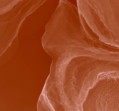 Ochre Soyut Arkaplan. Soyut Tasarım. Suluboya doku. Suluboya Baskı. Mürekkep Graffiti. Soyut Sıçrama. Sanatçı Alkol Mürekkebi. Kırmızı suluboya deseni. Kakao Alkol Mürekkep Gömleği.