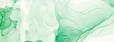 Yeşil Su Taklidi. Soyut arkaplan. Suluboya Baskı. Banner 'a su sıçrat. Alkol Mürekkebi Gömleği. Çiçekli suluboya deseni. Derin Yeşil Sanatsal Alkol Mürekkebi. Islak Sanat Yazıcısı. Mürekkep Graffiti.