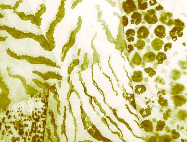 Karanlık Soyut Kirli Sanat. Kirli Sanat Ressamlığı. Islak Sanat Yazıcısı. Suluboya Baskı. Banner 'ı fırçaladım. Koyu Kova dokusu. Yeşil kravat boyası. Banner 'a su sıçrat. Boya yamalı kravat. Işık