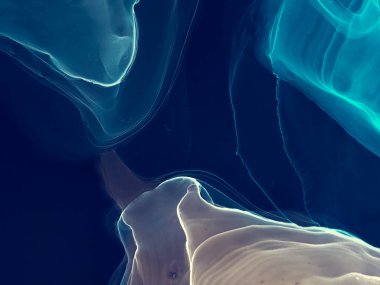 Siyah Soyut Boyama. Soyut Tasarım. Suluboya doku. Mürekkep Graffiti. Sanatçı Alkol Mürekkebi. Koyu mavi ıslak sanat baskısı. Banner 'a su sıçrat. Suluboya deseni. İndigo Alkol Mürekkep Gömleği.