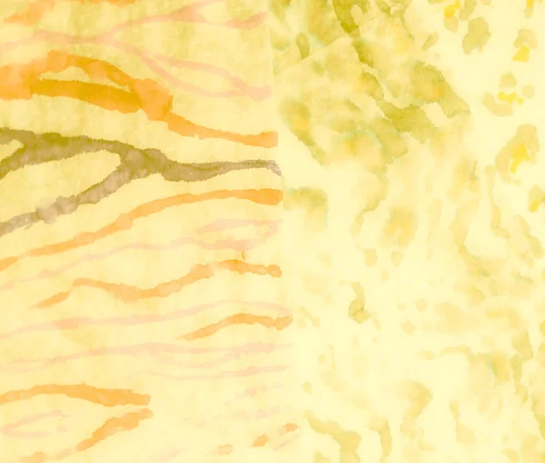 Осінній Абстракт Абстрактне Брудне Мистецтво Вологий Художній Принт Aquarelle Texture — стокове фото