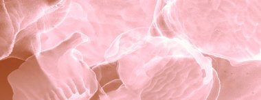 Kakao Kahverengi Modern Sanat. Soyut arkaplan. Suluboya doku. Suluboya Baskı. Kahverengi Alkol Mürekkebi. Suluboya deseni. Banner 'a su sıçrat. Mürekkep Graffiti. Alkol Mürekkebi Yazdır. Pembe.