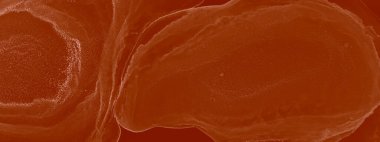 Krem Modern Sanat. Soyut arkaplan. Islak Sanat Yazıcısı. Suluboya doku. Kırmızı Alkol Mürekkep Gömleği. Banner 'a su sıçrat. Alkol Mürekkebi Yazdır. Kırmızı Ochre Suluboya Yazdırma. Mürekkep Graffiti.