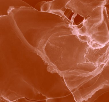 Kahverengi Çağdaş Sanat. Soyut arkaplan. Islak Sanat Yazıcısı. Suluboya doku. Kırmızı Sanatsal Alkol Mürekkebi. Banner 'a su sıçrat. Alkol Mürekkebi Gömleği. Ochre Suluboya deseni. Mürekkep Graffiti.