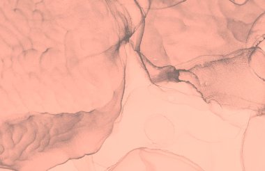 Mercan Soyutlama Arkaplanı. Soyut boyama. Suluboya Baskı. Suluboya doku. Gül Alkol Mürekkebi Yazdır. Banner 'a su sıçrat. Alkol Mürekkebi Örnekleri. Gri Islak Sanat Yazıcısı. Soyut Sıçrama.