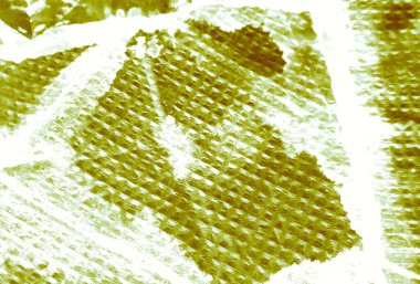 Aydınlık Soyut Kirli Sanat. Soyut Desen. Islak Sanat Yazıcısı. Aquarelle dokusu. Yeşil kravat boyalı batik. Suluboya Baskı. Banner 'a su sıçrat. Hafif Fırçalı Sancak. Kravat boyası Grunge. Beyaz