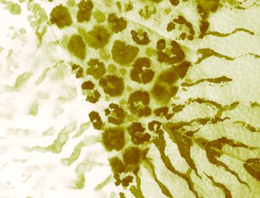 Açık Ahlaksız Sanat Ressamlığı. Soyut Sıçrama. Islak Sanat Yazıcısı. Banner 'a su sıçrat. Boya yamalı kravat. Koyu Kova dokusu. Dişlerimi fırçaladım. Koyu suluboya baskı. Yeşil kravat boyası..