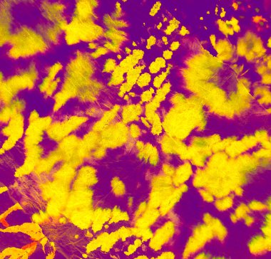 Parlak Sanatsal Kirli Sanat. Kirli Sanat Ressamlığı. Aquarelle dokusu. Islak Sanat Yazıcısı. Mor kravat boyası. Asit Sıçrayan Sancak. Dye Batik 'i bağla. Neon Suluboya Yazdırma. Banner 'ı fırçaladım. Parlak