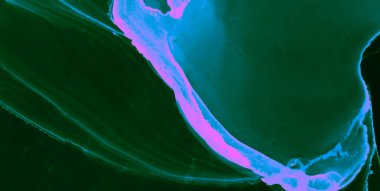 Çiçek Soyut Ressamlığı. Soyut arkaplan. Suluboya doku. Suluboya Baskı. Siyah Alkol Mürekkebi. Mürekkep Graffiti. Alkol Mürekkebi Gömleği. Koyu yeşil ıslak sanat baskısı. Soyut Sıçrama.