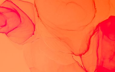 Mercan Soyutlama Arkaplanı. Modern sanat. Suluboya Baskı. Islak Sanat Yazıcısı. Mürekkep Graffiti. Banner 'a su sıçrat. Alkol Mürekkebi Sanatı. Lav suluboya deseni. Parlak Sanatsal Alkol Mürekkebi. 