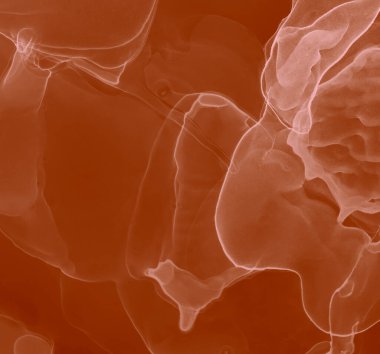 Kahverengi Çağdaş Sanat. Soyut arkaplan. Suluboya deseni. Islak Sanat Yazıcısı. Pembe Alkol Mürekkebi Sanatı. Suluboya doku. Banner 'a su sıçrat. Mürekkep Graffiti. Alkol Mürekkebi Gömleği. Kakao