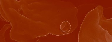 Kırmızı Ochre Modern Sanat. Çağdaş Sanat. Suluboya Baskı. Suluboya doku. Soyut Sıçrama. Banner 'a su sıçrat. Sanatçı Alkol Mürekkebi. Krem suluboya deseni. Kırmızı Alkol Mürekkebi Sanatı.