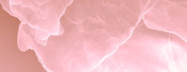 Kakao Kahverengi Soyut Tasarım. Modern sanat. Suluboya Baskı. Islak Sanat Yazıcısı. Pembe Sanatsal Alkol Mürekkebi. Suluboya doku. Soyut Sıçrama. Banner 'a su sıçrat. Alkol Mürekkebi Gömleği. Kırmızı