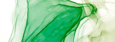 Yeşil Soyut Özgeçmiş. Soyut Tasarım. Suluboya Baskı. Islak Sanat Yazıcısı. Çiçek Sanatsal Alkol Mürekkebi. Suluboya deseni. Banner 'a su sıçrat. Soyut Sıçrama. Alkol Mürekkebi Gömleği. Koyu Yeşil