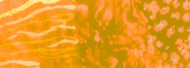 Parlak Soyut Sıçrama. Soyut Kirli Sanat. Suluboya Baskı. Islak Sanat Yazıcısı. Çoklu renkli kravat boyası yaması. Aquarelle dokusu. Banner 'ı fırçaladım. Portakal Sıçrayan Sancak. Dye Batik 'i bağla. Sarı