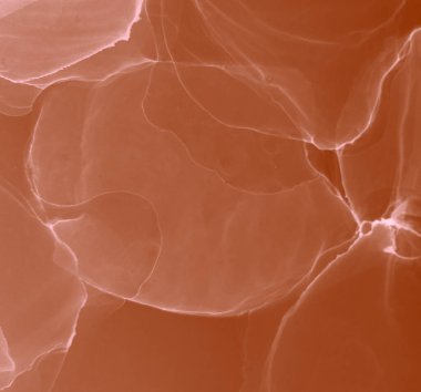 Kahverengi Kahverengi Soyut Arkaplan. Su taklidi. Suluboya doku. Suluboya Baskı. Banner 'a su sıçrat. Islak Sanat Yazıcısı. Pembe Alkol Mürekkebi. Mürekkep Graffiti. Alkol Mürekkebi Sanatı. Kırmızı