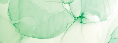 Derin Yeşil Çağdaş Sanat. Soyut boyama. Suluboya doku. Islak Sanat Yazıcısı. Soyut Sıçrama. Suluboya deseni. Yeşil Alkol Mürekkebi. Banner 'a su sıçrat. Alkol Mürekkebi Yazdır. Çiçek.