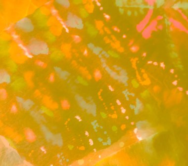 Parlak Soyut Ahlaksız Sanat. Kirli Sanat Arkaplanı. Aquarelle dokusu. Suluboya Baskı. Dişlerimi fırçaladım. Yeşil Fırçalı Sancak. Kravat boyası. Sarı Islak Sanat Yazıcısı. Süslü Kravat Boyalı Batik.