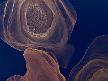 Kara Su Taklidi. Çağdaş Sanat. Suluboya deseni. Suluboya doku. Banner 'a su sıçrat. Soyut Sıçrama. Alkol Mürekkebi Örnekleri. Mavi suluboya baskı. İndigo Alkol Mürekkebi Sanatı.