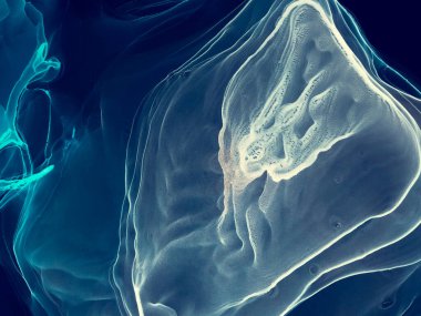 Siyah Soyut Boyama. Su taklidi. Suluboya doku. Mürekkep Graffiti. Sanatçı Alkol Mürekkebi. Altın Islak Sanat Yazısı. Lacivert Alkol Mürekkep Gömleği. Suluboya Baskı. Flama SancağıName.