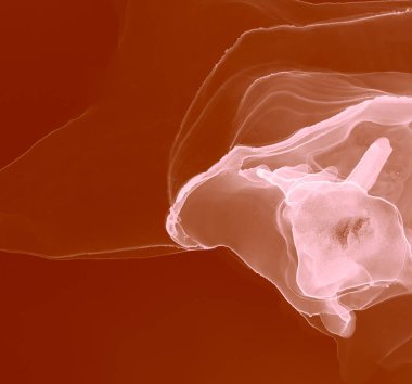 Ochre Soyut Arkaplan. Çağdaş Sanat. Suluboya deseni. Islak Sanat Yazıcısı. Kırmızı Alkol Mürekkebi Yazdır. Suluboya doku. Banner 'a su sıçrat. Soyut Sıçrama. Sanatçı Alkol Mürekkebi. Pembe.