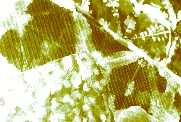 白色肮脏的艺术绘画 湿法艺术印刷品 水彩印刷 绿色的领带 刷了涂鸦 领带Dye Batik 轻盈的水族纹理 刷横幅 — 图库照片