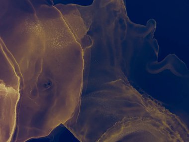 Mavi Soyut Özgeçmiş. Soyut Tasarım. Suluboya deseni. Islak Sanat Yazıcısı. Lacivert Alkol Mürekkebi Yazdır. Suluboya Baskı. Soyut Sıçrama. Banner 'a su sıçrat. Alkol Mürekkebi Örnekleri. Çivit